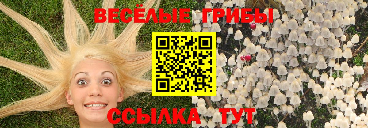 Белорецк  даркнет сайт  Вход с VPN  Галлюциногенные грибы GOLDEN TEACHER 