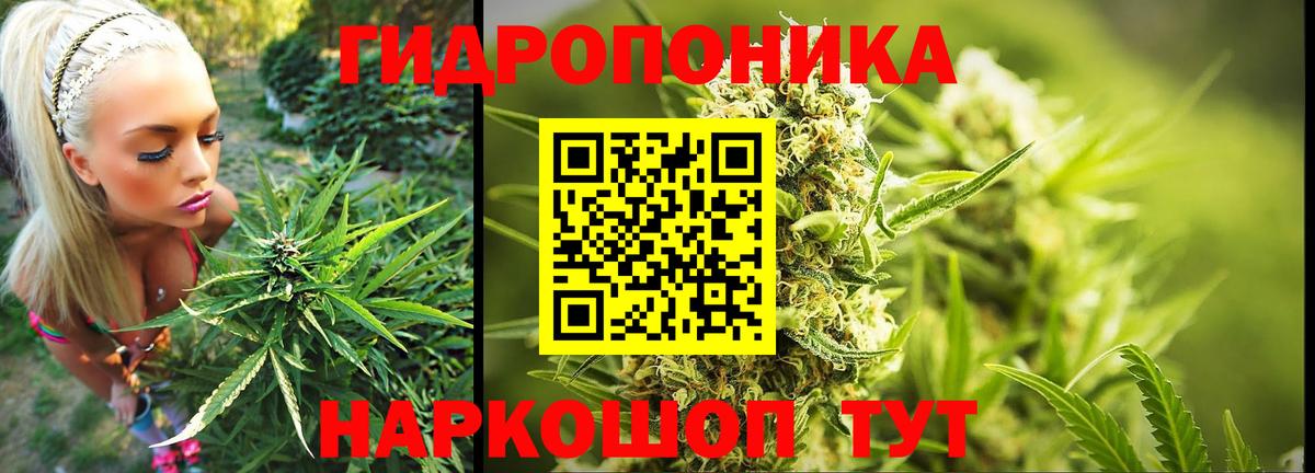 Бошки Шишки Amnesia Белорецк